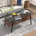 Rectangle Coffee Table,Tempered Glass Tabletop with Metal Legs,Modern Table for Living Room,Glass